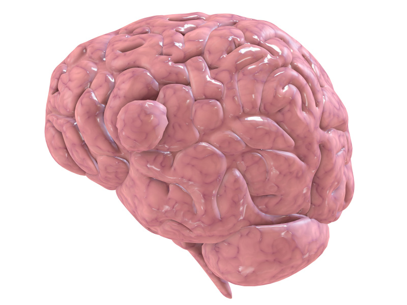 Опухоль головного мозга: симптомы и признаки 