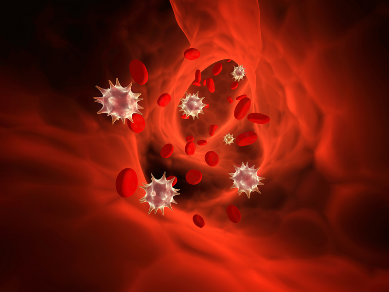 Cytomegalovirus Infection