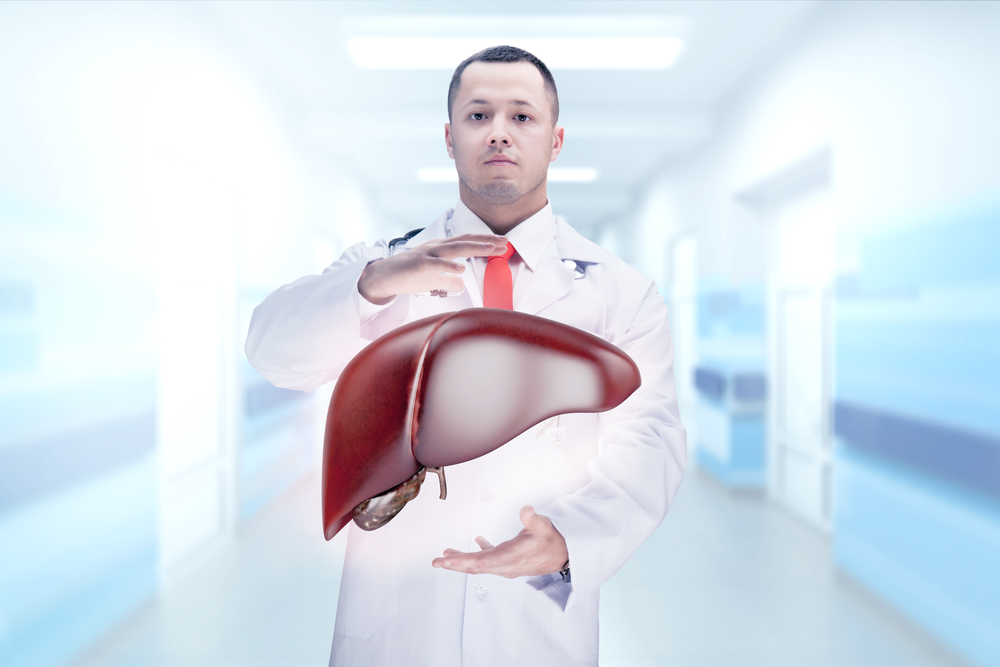 УЗИ-диагностика печени УЗИ печени